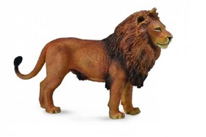 Obrazek Lew afrykański L