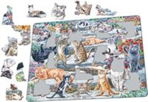 Picture of Larsen Koty różnych ras Maxi