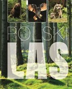 Polski Las... - Joanna Kapusta, Piotr Kapusta -  foreign books in polish 