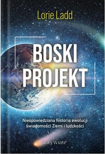 Obrazek Boski projekt