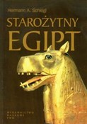 polish book : Starożytny... - Hermann A. Schlogl
