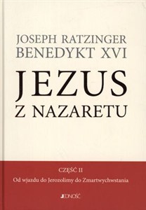 Obrazek Jezus z Nazaretu część 2 Od wjazdu do Jerozolimy do Zmartwychwstania