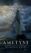 Zobacz : Ametyst. K... - Cezary Czyżewski