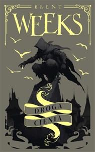 Picture of Droga Cienia. Trylogia Anioła Nocy. Tom 1