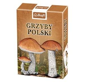 Obrazek Grzyby Polski Karty Przyrody