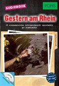 Polska książka : Gestern am...