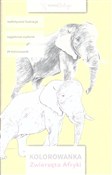 Kolorowank... - Opracowanie Zbiorowe -  Książka z wysyłką do UK