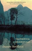 Tajemnica ... - James Redfield -  Polish Bookstore 
