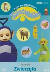 Picture of Teletubisie: Uczmy się angielskiego Zwierzęta