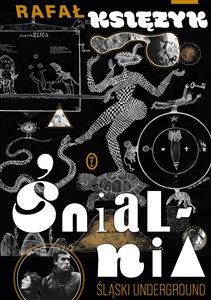 Obrazek Śnialnia Śląski underground