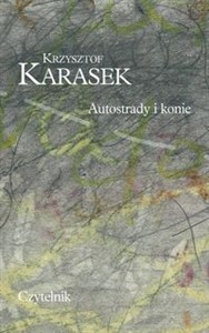 Picture of Autostrady i konie