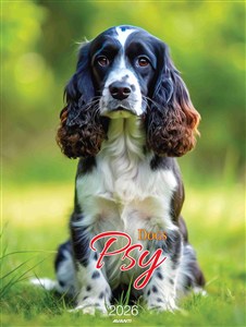 Obrazek Kalendarz 2026 ścienny mały Psy KSM-S-3