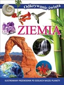 Polska książka : Odkrywanie... - Opracowanie Zbiorowe