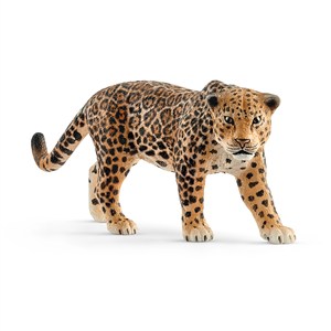 Picture of Jaguar