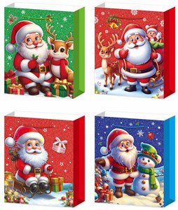 Picture of Torebki prezentowe BN 12 sztuk mix wzorów WK 22418 L