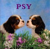 Polska książka : Psy - Jon Stroud
