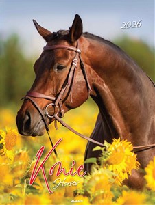 Obrazek Kalendarz 2026 ścienny mały Konie KSM-S-5