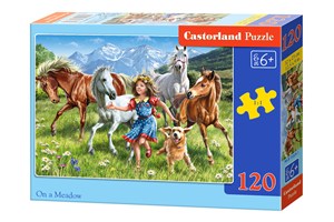 Obrazek Puzzle On a Mead 60