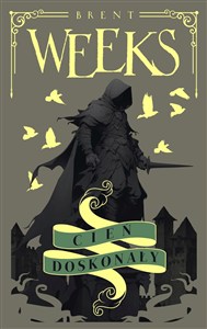 Obrazek Cień doskonały