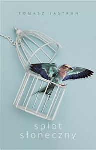 Obrazek Splot słoneczny DL