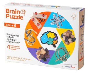 Obrazek Łamigłówka Brain Puzzle zestaw 6 szt.