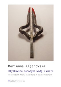 Picture of Błyskawica napotyka wodę i wiatr