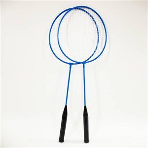 Obrazek Badminton 60 cm w siatce