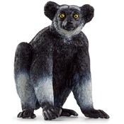 polish book : Indris Wil...