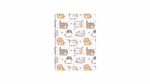 Obrazek Notes A6 kratka kittens