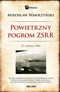Obrazek Powietrzny pogrom ZSRR 22 czerwca 1941