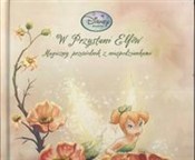 Wróżki W p... - Kitty Richards -  books from Poland