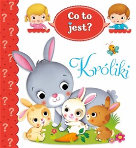 Obrazek Co to jest? Króliki