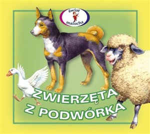 Obrazek Zwierzęta z podwórka