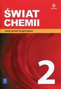 Świat chem... - Dorota Lewandowska, Anna Warchoł -  books in polish 