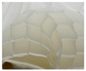 Polska książka : Bibuła prz...