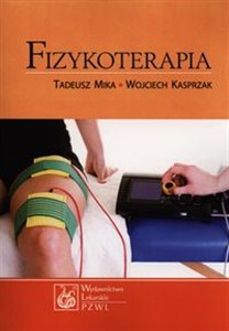 Obrazek Fizykoterapia