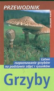 Obrazek Grzyby Przewodnik