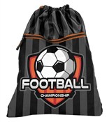 Polska książka : Worek na o...