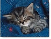 Puzzle Wtu... -  books in polish 