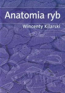 Picture of Anatomia ryb