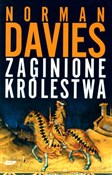 Książka : Zaginione ... - Norman Davies
