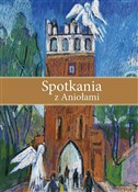 polish book : Spotkania ... - ks. Wojciech Kania