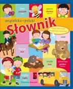polish book : Słownik an... - Eleonora Barsotti