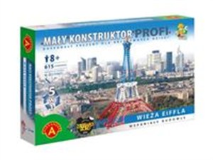 Picture of Mały konstruktor