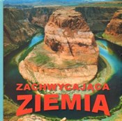 Zobacz : Zachwycają... - Opracowanie Zbiorowe