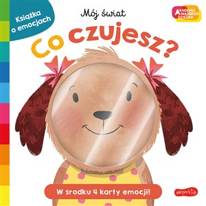 Obrazek Co czujesz? Akademia mądrego dziecka. Mój świat