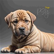 Kalendarz ... -  Polish Bookstore 