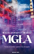 Miasto gas... - Aleksandra Świderska -  books from Poland