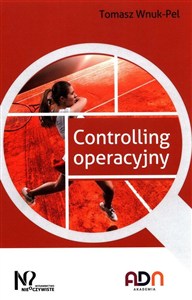 Obrazek Controlling operacyjny