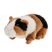 Świnka mor... -  books from Poland